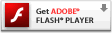 Scarica Adobe Flash Player